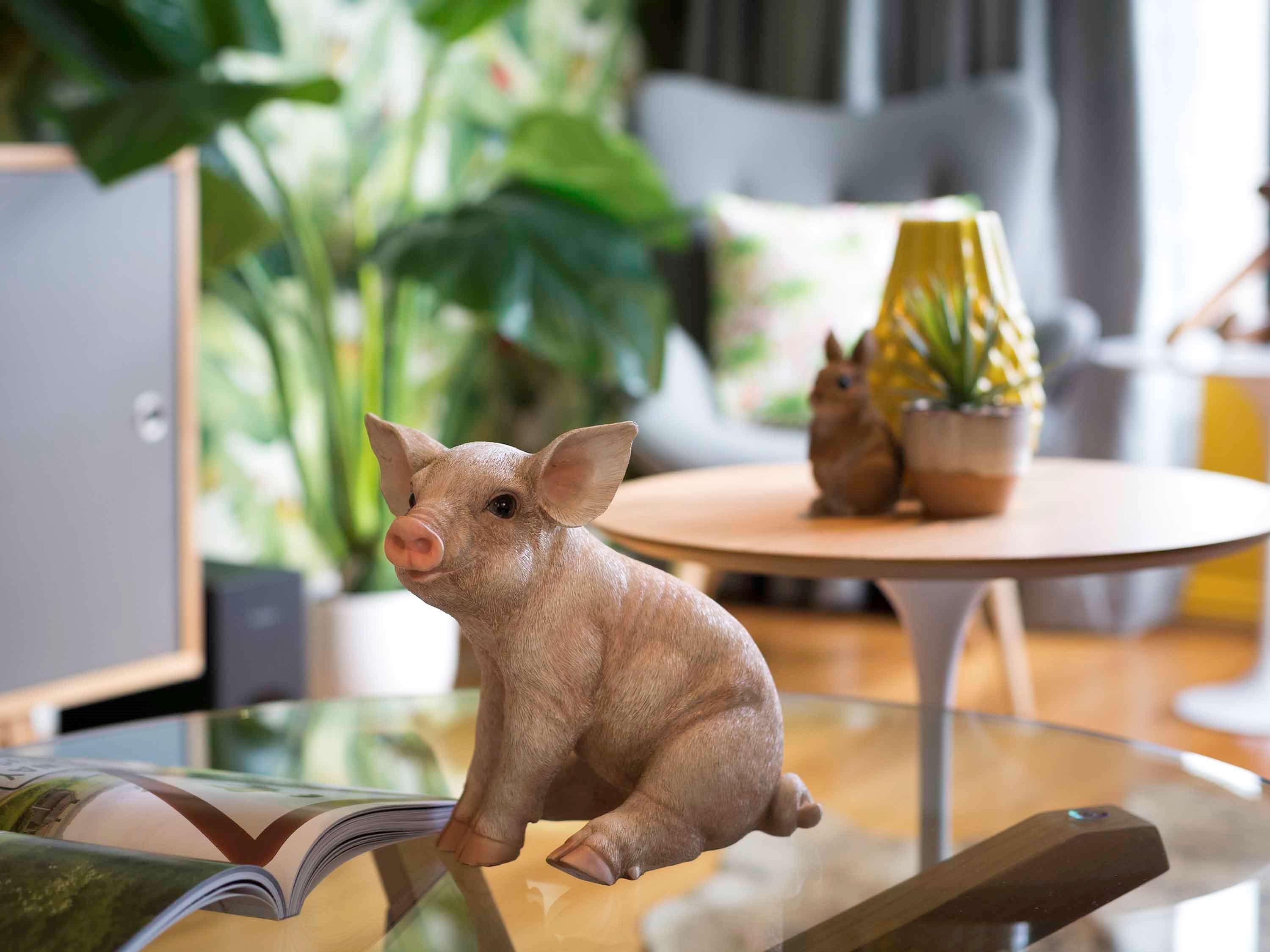 Pullman Sydney Hyde Park Hotel Exterior foto A piglet